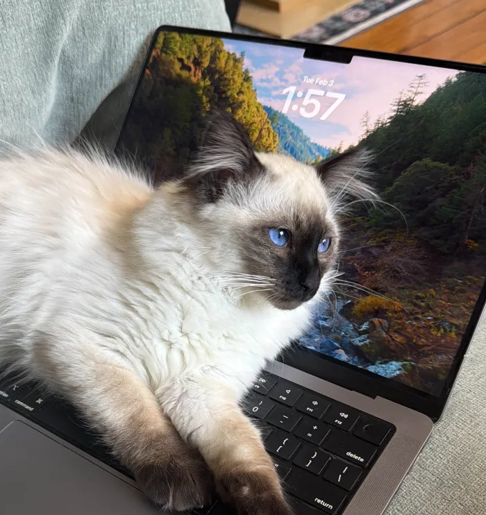 Screenshot 2026 02 04 at 10.39.26 AM